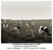 Reiterhof, Kreis Goldap 
