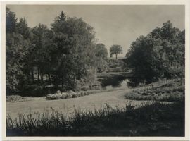 Glaubitten, Kreis Rastenburg Glaubitten, Gutspark ? Глаубиттен, парк имения?