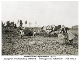 Baumgarten Kr. Rastenburg, Kreis Rastenburg 