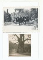 Cadinen, Kreis Elbing 