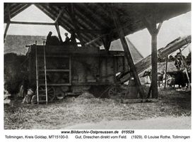 Tollmingen, Kreis Goldap  