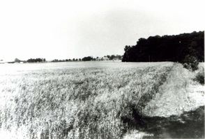 Wargienen Kr. Samland, Kreis Samland 