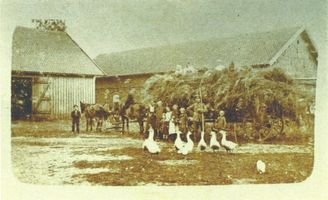 Leisuhnen, Kreis Heiligenbeil Leisuhnen, Hof Rudolf Carl Müller Лайзунен, хутор Рудольфа Карла Мюллера