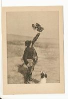 Rossitten Kr. Samland, Kreis Samland Rossitten Kr. Samland, Vogelwarte, Balzhabicht Blitz 