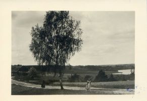  Ostpreußen, Ostpreußische Landschaft Восточная Пруссия, восточнопрусский ландшафт