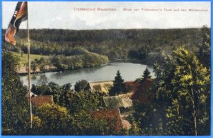 Rauschen Kr. Samland, Kreis Samland Rauschen Kr. Samland, Blick von Folchmanns Turm auf den Mühlenteich I 