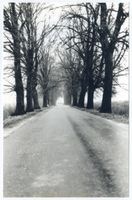 Langgut, Kreis Osterode Langgut, Chaussee von Rapatten nach Langgut 