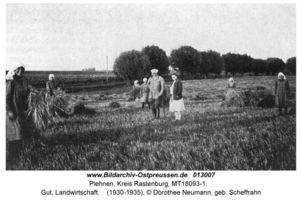 Plehnen Kr. Rastenburg, Kreis Rastenburg 