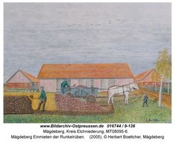 Mägdeberg, Kreis Elchniederung 