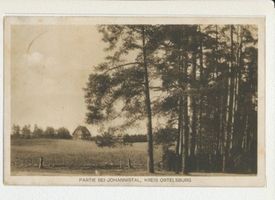 Johannisthal Kr. Ortelsburg, Kreis Ortelsburg Johannisthal Kr. Ortelsburg, Ortsansicht 