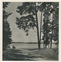  Johannisburger Heide, Masuren, Mucker See westlich von Lyck Йоханнисбургская пуща, Мазурия, озеро Мукер к западу от Лыка