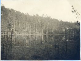  Osterode (Kreis), Rehbocksee 