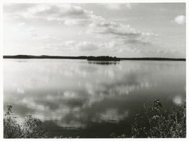  Dobensee, See mit Kormoraninsel III Добензее, озеро с бакланьим островом, III