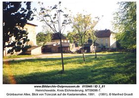 Heinrichswalde Kr. Elchniederung, Kreis Elchniederung Grünbaumer Allee  Elchniederung, Aufnahmen nach 1945