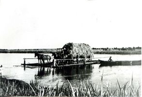 Arnau Kr. Samland, Kreis Samland 