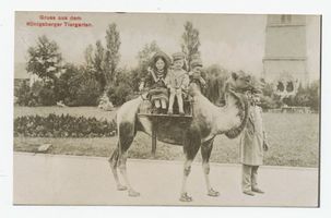 Königsberg (Pr.), Stadtkreis Königsberg Hufenallee