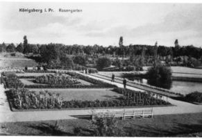 Königsberg (Pr.), Stadtkreis Königsberg 