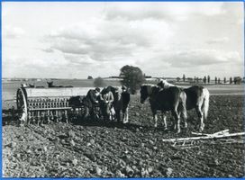  Masuren, Bauern bei der Aussaat 