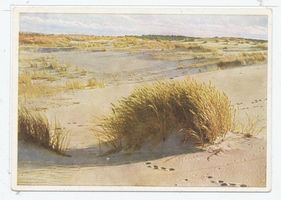  Kurische Nehrung, Dünenlandschaft V 