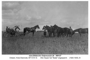 Dräwen, Kreis Ebenrode 