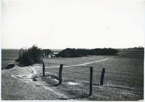  Samlandküste, Höhenweg zwischen Neukuhren und Rauschen Samländische Steilküste