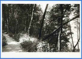 Georgenswalde, Kreis Samland Georgenswalde, Uferpromenade Георгенвальде, приморская набережная