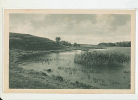  Mauersee, Partie am See Angerburg, Schwenzaitsee und Mauersee