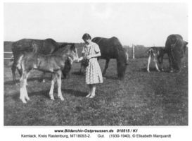 Kemlack, Kreis Rastenburg 
