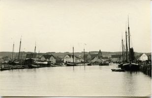 Tolkemit, Kreis Elbing 