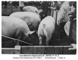 Prassen Kr. Rastenburg, Gut, Kreis Rastenburg 