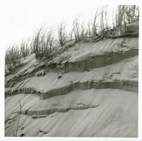  Kurische Nehrung, Reste befestigter Dünen Kurische Nehrung, Dünen