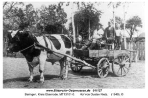 Baringen, Kreis Ebenrode  