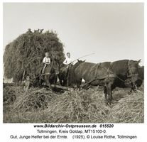 Tollmingen, Kreis Goldap  