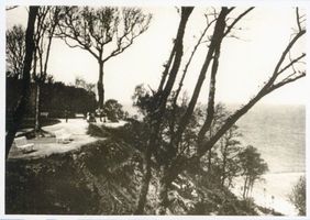 Georgenswalde, Kreis Samland Georgenswalde, Im Kurpark II Георгенсвальде, в курортном парке II
