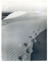  Kurische Nehrung, Sturzdüne bei Nidden III Nidden, Landschaft - Ostsee - Umgebung