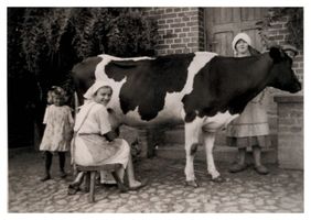 Mattischkehmen, Kreis Gumbinnen 