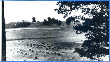 Knipstein, Kreis Heilsberg Knipstein, Mühle auf dem Mühlenberg Книпштайн, мельница на Мельничной горе