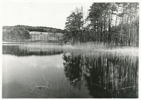  Johannisburger Heide, Seenlandschaft Йоханнисбургская пуща, озёрный пейзаж
