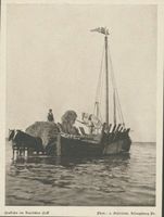  Kurisches Haff, Heukahn Куршский залив, сенная баржа