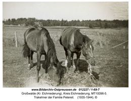 Großwalde (Kr. Elchniederung), Kreis Elchniederung 
