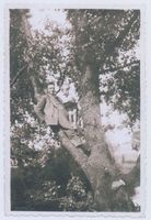 Schönlinde Kr. Gerdauen, Kreis Gerdauen 