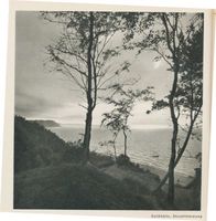  Samland, Nordküste in Abendstimmung Samländische Steilküste