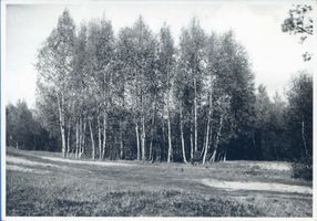 Seebad-Försterei, Kreis Memel Seebad-Försterei,  Der Kuckelbrod  bei Försterei 
