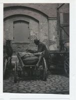 Memel, Stadt, Stadtkreis Memel 