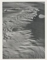  Kurische Nehrung, Dünen, Flache Sonne auf der Düne Куршская коса, дюны, низкое солнце над дюной