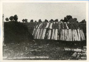  Labiau (Kreis) Holzmeiler 