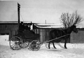 Friedrichsrode (Ostpr.), Kreis Labiau Alt Sussemilken, Kutsche im Winter 