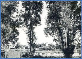 Elchwerder Kr. Labiau, Ort, Kreis Labiau Elchwerder Kr. Labiau, Durchblick auf Elchwerder Эльхвердер, р-н Лабиау, вид на Эльхвердер