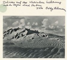  Kurische Nehrung, Auf der Wanderdüne nach Sturm und Regen II Куршская коса, на движущейся дюне после бури и дождя, II