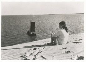  Kurische Nehrung, Blick von der hohen Düne bei Pillkoppen auf das Kurische Haff Куршская коса, вид с высокой дюны у Пилькоппен на Куршский залив